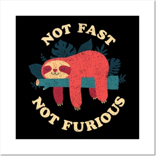 Not Fast Not Furious Posters and Art